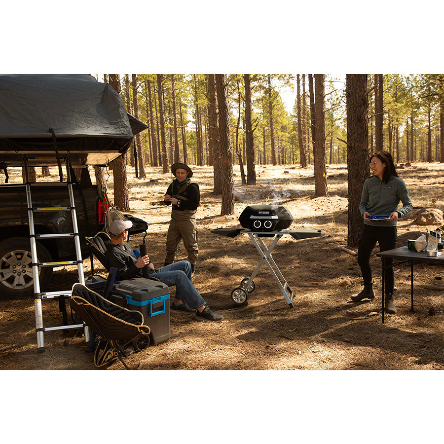 2-Burner Portable Gas Grill with Collapsible Cart